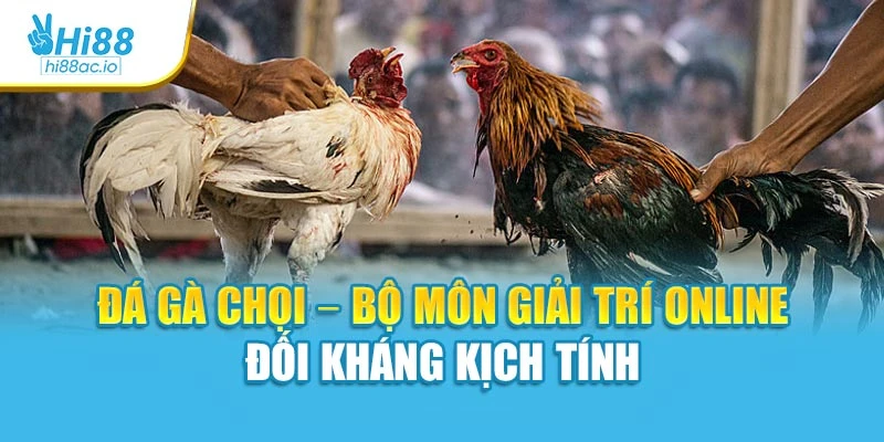 Đá Gà Chọi – Bộ Môn Giải Trí Online Đối Kháng Kịch Tính