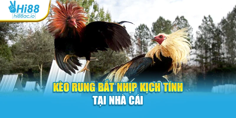 Kèo rung bắt nhịp kịch tính tại nhà cái