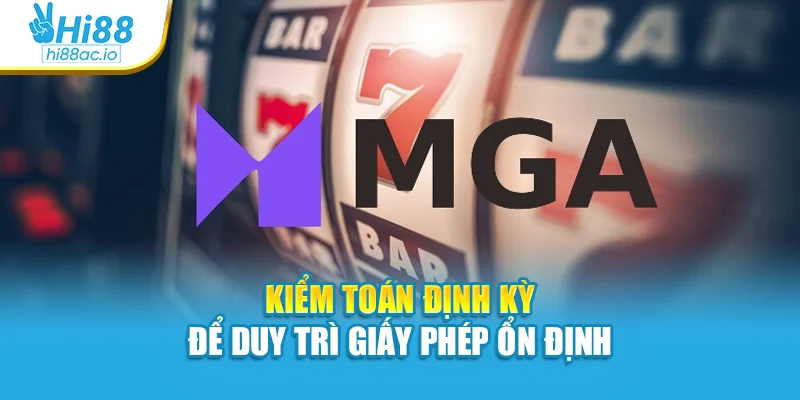 Kiểm toán định kỳ để duy trì giấy phép ổn định